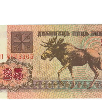 25 Rublei - Bielorussia 1992 Nova