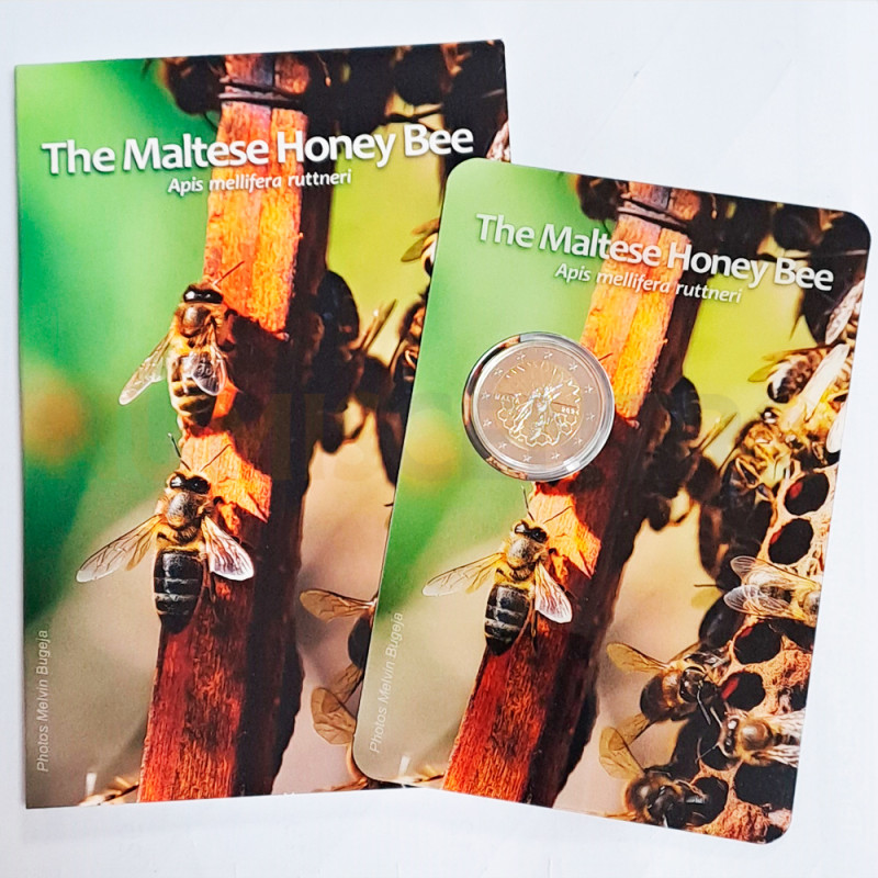 Moeda 2 Euros Abelha Maltesa Malta 2024 Coincard